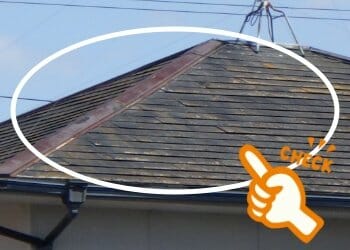 屋根塗装　カビ　藻