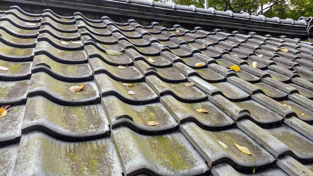 苔の生えた屋根の画像