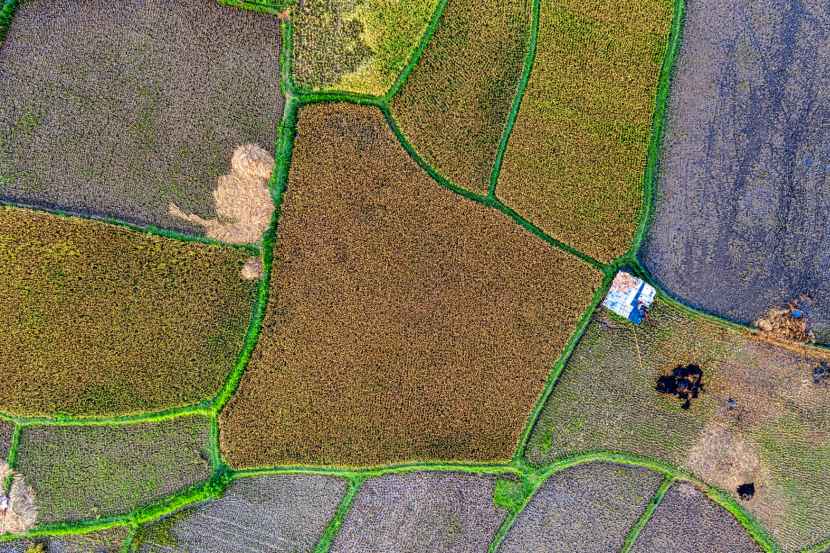 坪数別の費用目安（30坪・40坪・50坪）